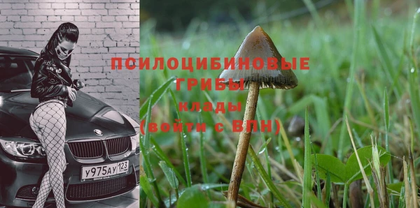 МДПВ Ладушкин