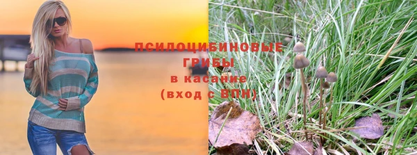 сатива Абдулино