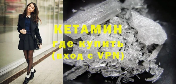 прущие грибы Лабытнанги
